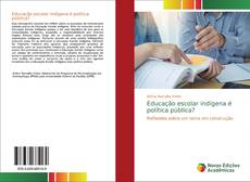Capa do livro de Educação escolar indígena é política pública? 