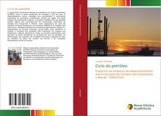 Bookcover of Ciclo do petróleo