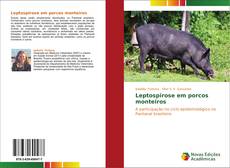 Bookcover of Leptospirose em porcos monteiros