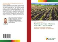 Bookcover of Polímero, palhiço e sistema de plantio em cana-de-açúcar