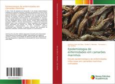 Buchcover von Epidemiologia de enfermidades em camarões marinhos