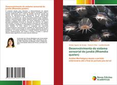 Bookcover of Desenvolvimento do sistema sensorial do jundiá (Rhamdia quelen)