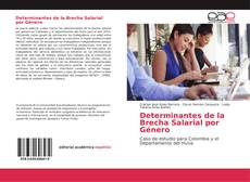 Determinantes de la Brecha Salarial por Género kitap kapağı