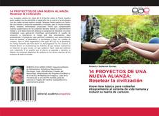 Bookcover of 14 PROYECTOS DE UNA NUEVA ALIANZA: Resetear la civilización