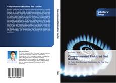 Buchcover von Compartmented Fluidized Bed Gasifier