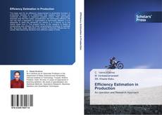 Capa do livro de Efficiency Estimation in Production 