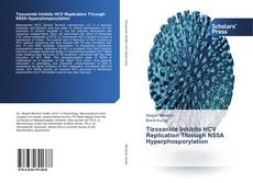 Bookcover of Tizoxanide Inhibits HCV Replication Through NS5A Hyperphosporylation