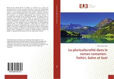 Buchcover von La pluriculturalité dans le roman comorien: Toihiri, Salim et Sast