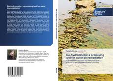 Portada del libro de Bio-hydrozincite: a promising tool for water bioremediation