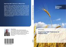 Improving Salt Tolerance in Wheat Plant kitap kapağı