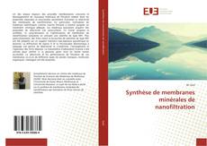 Capa do livro de Synthèse de membranes minérales de nanofiltration 