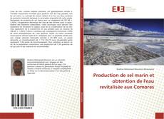 Capa do livro de Production de sel marin et obtention de l'eau revitalisée aux Comores 