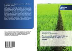 Buchcover von An economic analysis of risk in rice cultivation in UBVZ of Assam