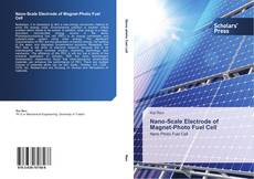 Bookcover of Nano-Scale Electrode of Magnet-Photo Fuel Cell