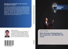 Couverture de Risk Structure Depending on the Corporate- and Market Life Cycle