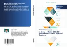 A Study on Fuzzy BCK/BCI-algebras and Related Algebraic Systems kitap kapağı