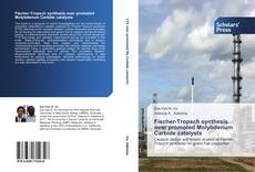 Copertina di Fischer-Tropsch synthesis over promoted Molybdenum Carbide catalysts