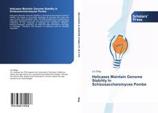 Capa do livro de Helicases Maintain Genome Stability In Schizosaccharomyces Pombe 