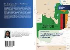 Bookcover of The Challenges of Minimum Wage Policy: A Zambian Perspective