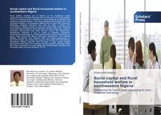 Buchcover von Social capital and Rural household welfare in southwestern Nigeria