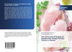 The Channels of Supply of Smallholder Village Poultry Flocks in Sokoto的封面