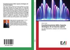 Bookcover of Caratterizzazione della risposta idrologica di un bacino alpino