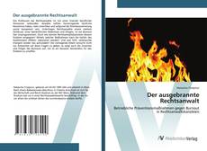 Der ausgebrannte Rechtsanwalt的封面