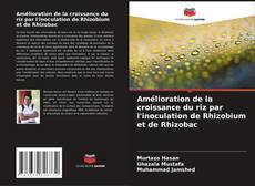 Buchcover von Amélioration de la croissance du riz par l'inoculation de Rhizobium et de Rhizobac