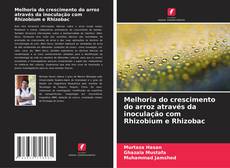 Couverture de Melhoria do crescimento do arroz através da inoculação com Rhizobium e Rhizobac