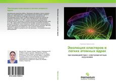 Обложка Эволюция кластеров в легких атомных ядрах