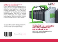 Обложка Codigestión anaerobia de cuatro residuos agroindustriales