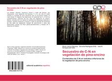 Bookcover of Secuestro de C-N en vegetación de pino-encino