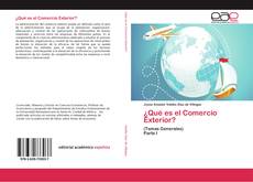 Bookcover of ¿Qué es el Comercio Exterior?