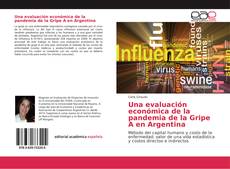 Una evaluación económica de la pandemia de la Gripe A en Argentina kitap kapağı