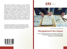 Buchcover von Mangagement des risques