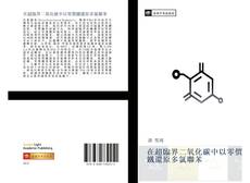 Capa do livro de 在超臨界二氧化碳中以零價鐵還原多氯聯苯 
