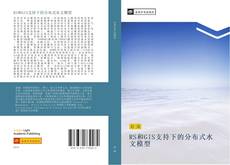 Bookcover of RS和GIS支持下的分布式水文模型