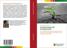 A (Re)criação do Campesinato kitap kapağı