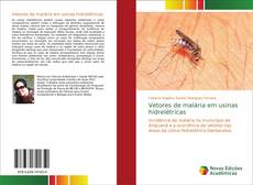 Buchcover von Vetores de malária em usinas hidrelétricas