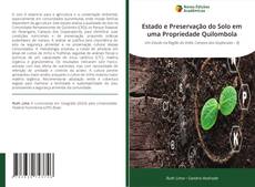 Borítókép a  Estado e Preservação do Solo em uma Propriedade Quilombola - hoz
