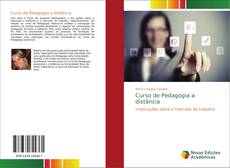 Bookcover of Curso de Pedagogia a distância