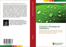 Buchcover von Irrigação e fenologia da mamoneira