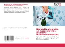 Reducción de gluten en masas de trigo mediante fermentación láctica kitap kapağı