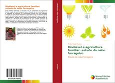 Buchcover von Biodiesel e agricultura familiar: estudo do nabo forrageiro