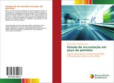 Bookcover of Estudo de incrustação em poço de petróleo