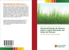 Buchcover von Disponibilidade de fósforo para o capim Marandu em solos do Paraná