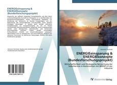 Buchcover von ENERGIEeinsparung & ENERGIEkonzepte (Bundesforschungsprojekt)
