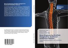 Bone Engineering Scaffold Designed for Sustained Antibiotics Release kitap kapağı