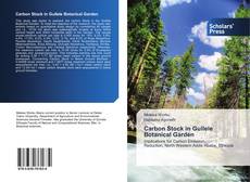 Buchcover von Carbon Stock in Gullele Botanical Garden