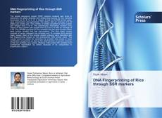 Buchcover von DNA Fingerprinting of Rice through SSR markers